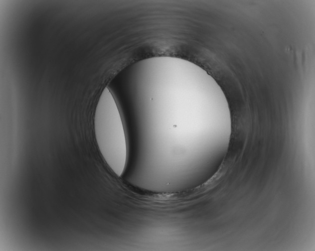 X0000090490090200707130939