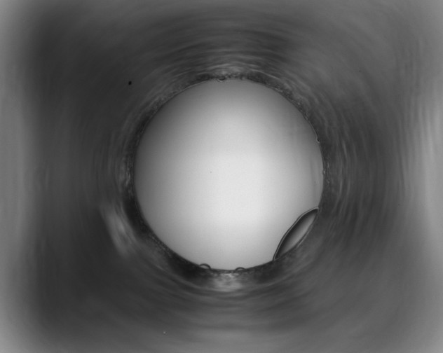 X0000090490091200707130939