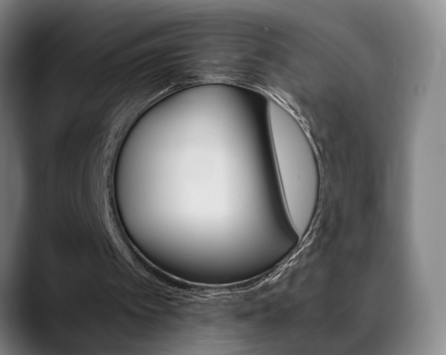 X0000090490097200707130938
