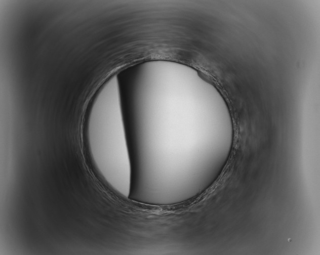 X0000090490098200707130938