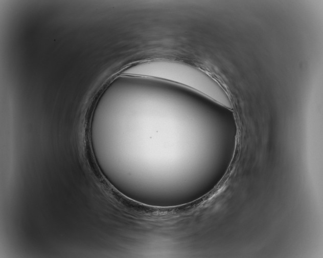 X0000090490101200707130938