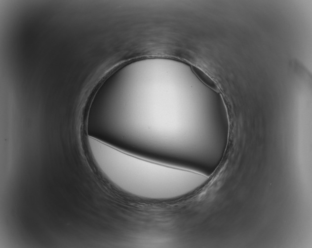 X0000090490103200707130938