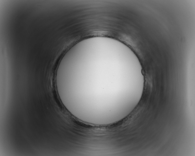 X0000090490110200707130938