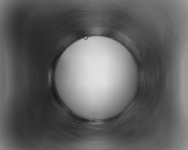 X0000090490118200707130938