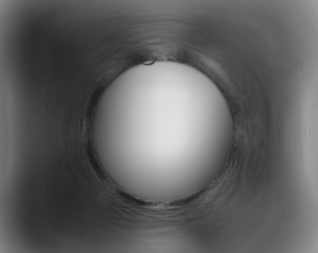X0000090490121200707130938