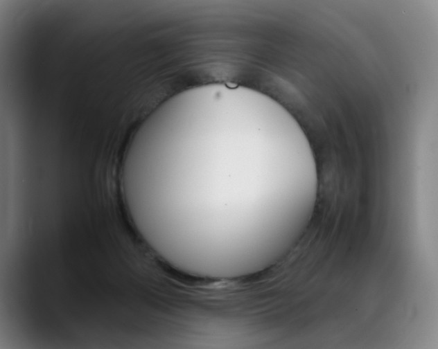 X0000090490122200707130938