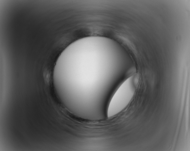 X0000090490123200707130938