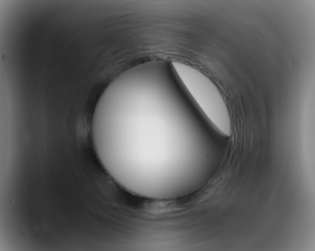 X0000090490129200707130938