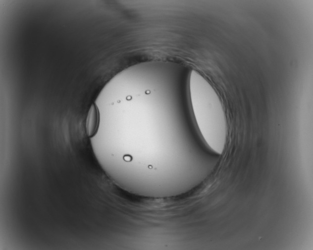X0000090490131200707130938