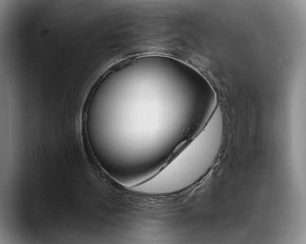 X0000090490148200707130937
