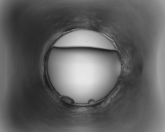 X0000090490149200707130937