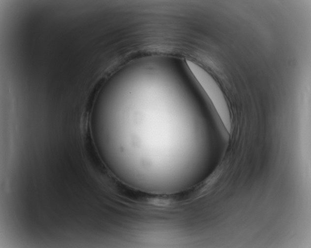 X0000090490168200707130937