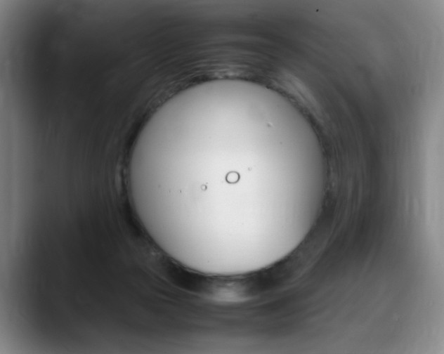 X0000090490169200707130937