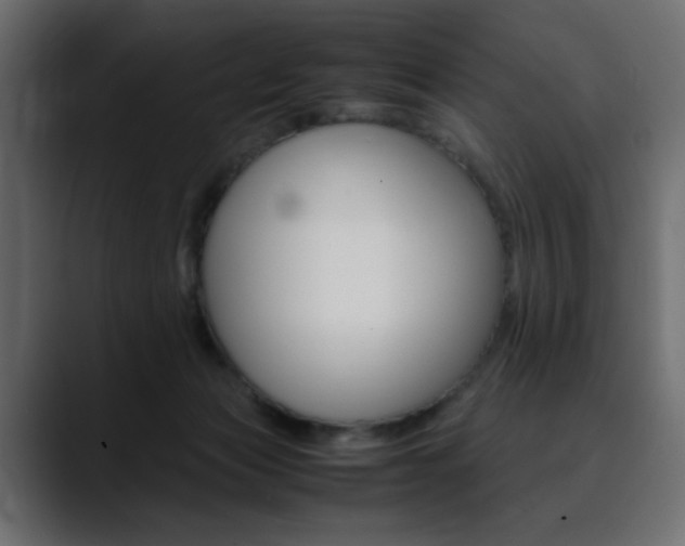 X0000090490173200707130937