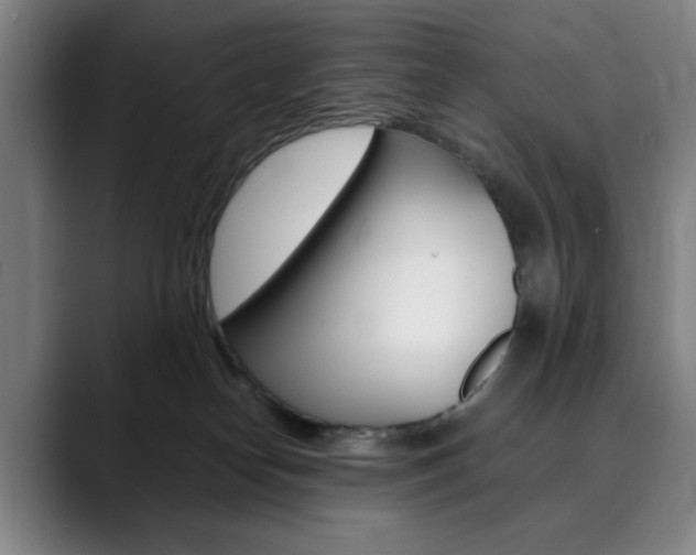 X0000090490182200707130937