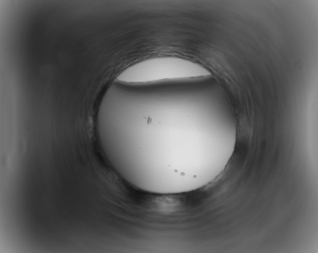 X0000090490183200707130937