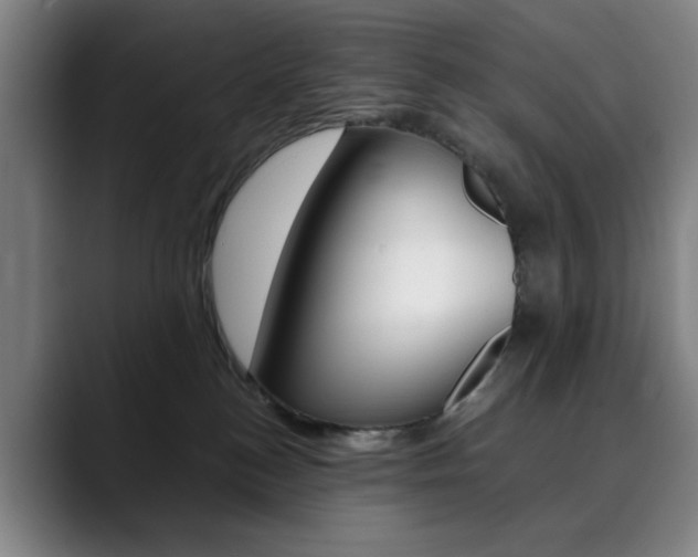X0000090490184200707130937