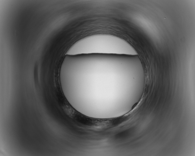 X0000090490191200707130937