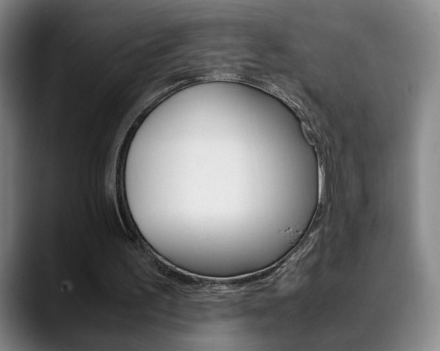 X0000090490195200707130937
