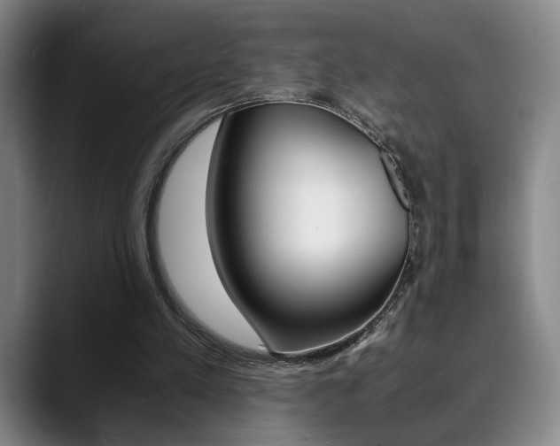 X0000090490197200707130937