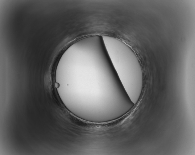 X0000090490198200707130937