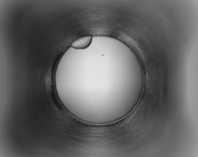 X0000090490202200707130937