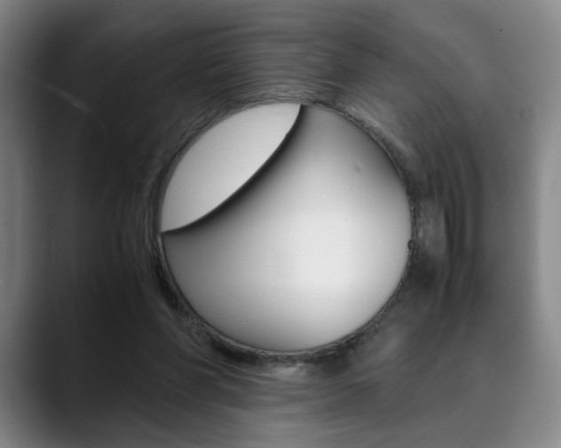 X0000090490206200707130937