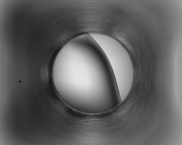 X0000090490207200707130937