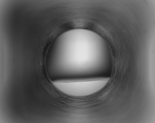 X0000090490215200707130936