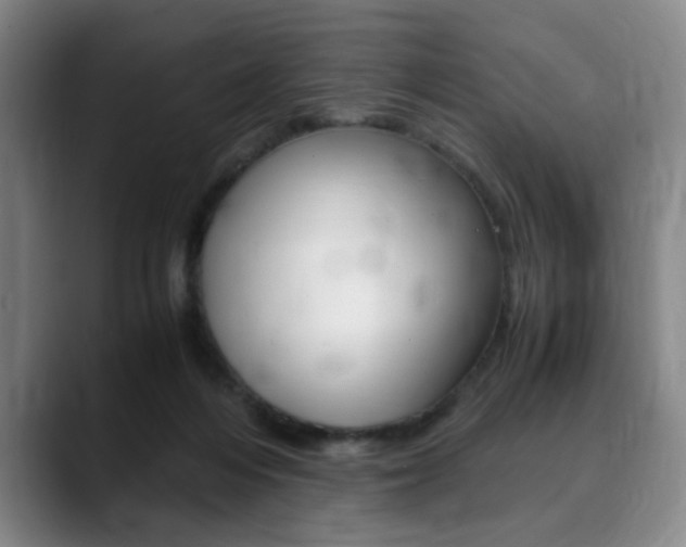 X0000090490216200707130936