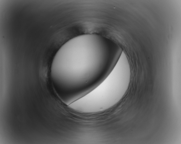 X0000090490219200707130936