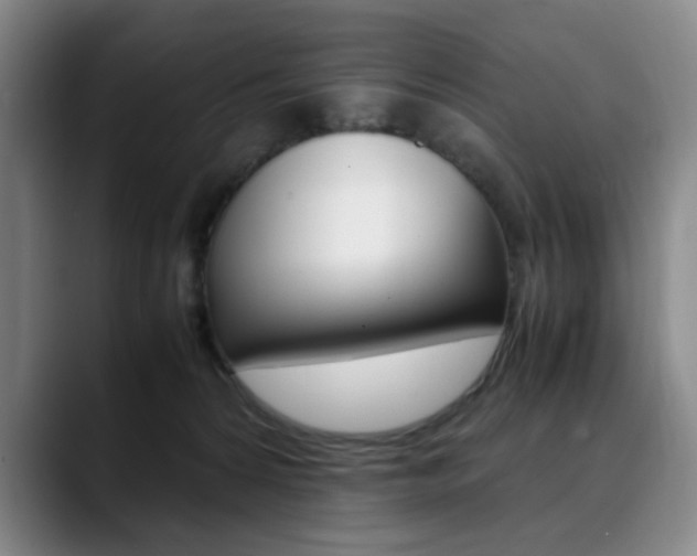 X0000090490224200707130936