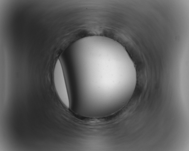 X0000090490229200707130936