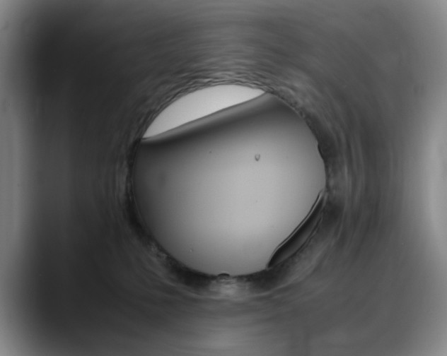 X0000090490231200707130936