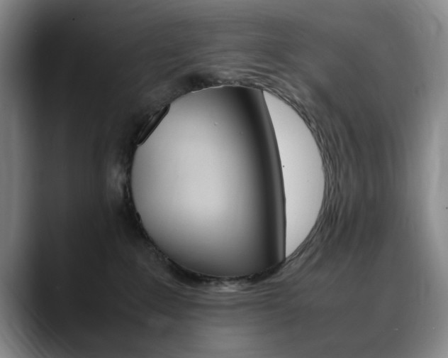 X0000090490235200707130936