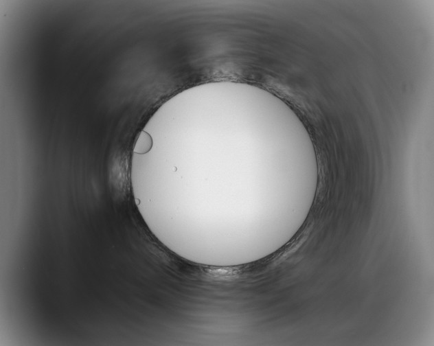 X0000090490240200707130936