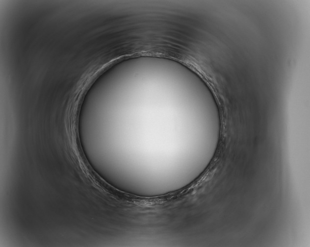 X0000090490241200707130936