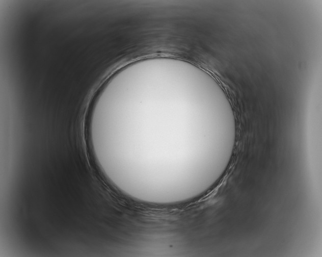 X0000090490244200707130936