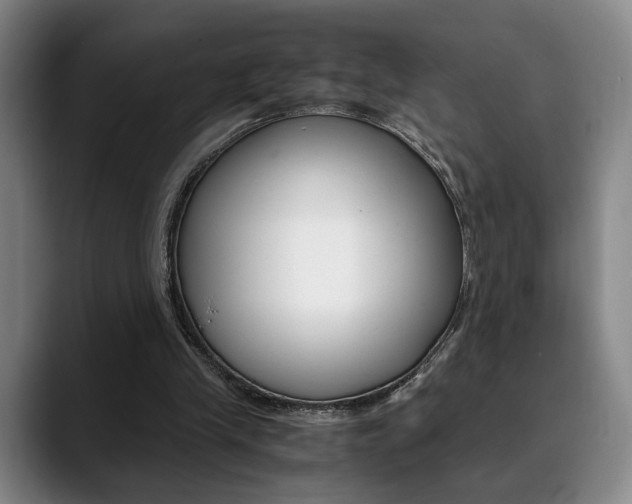 X0000090490245200707130936
