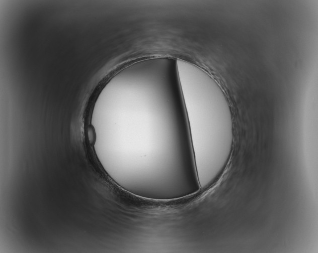 X0000090490246200707130936