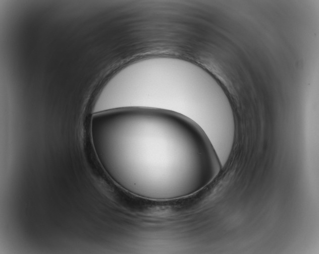 X0000090490252200707130936