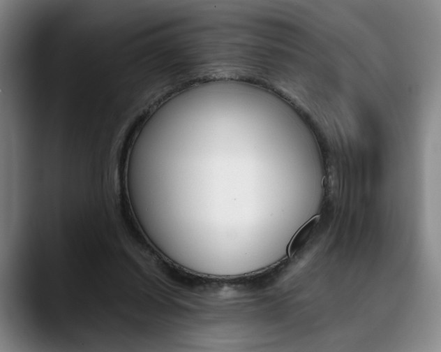 X0000090490254200707130936