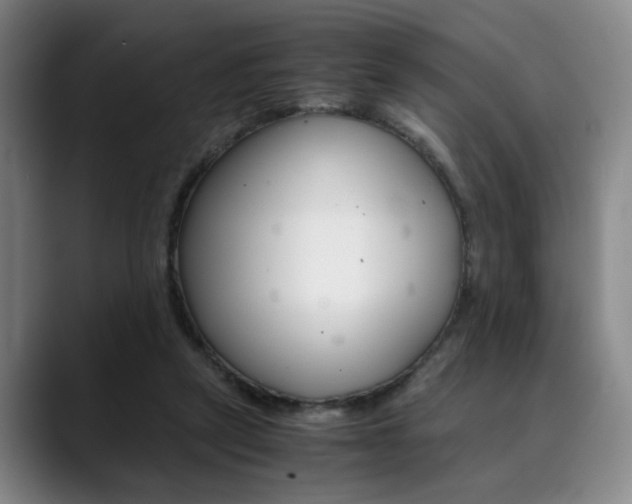 X0000090490257200707130936