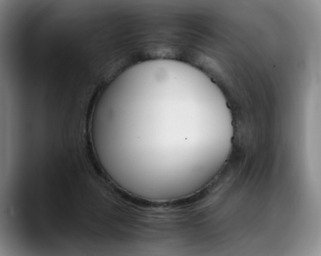 X0000090490259200707130936