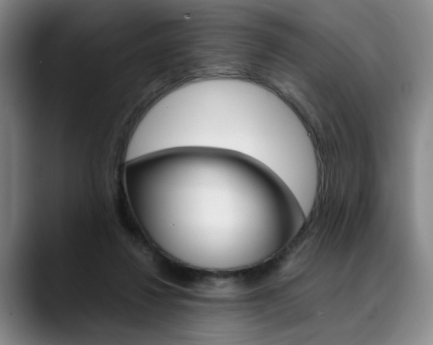 X0000090490260200707130936