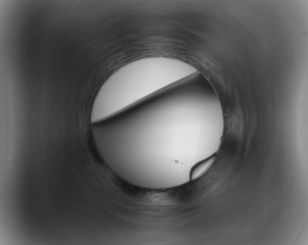 X0000090490283200707130936