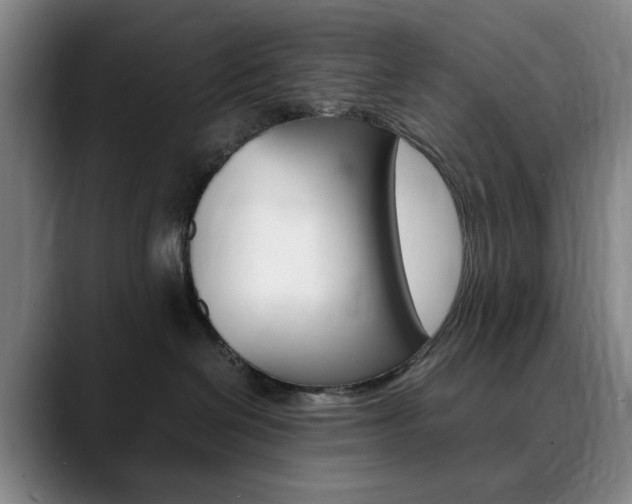 X0000090490286200707130936