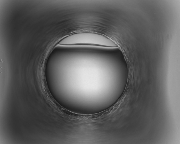 X0000090490289200707130936