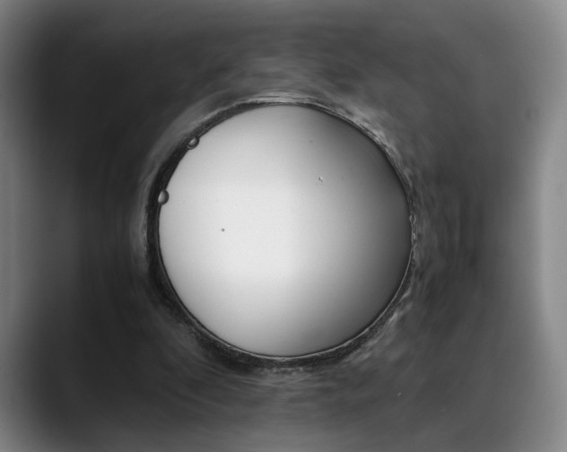 X0000090490296200707130936
