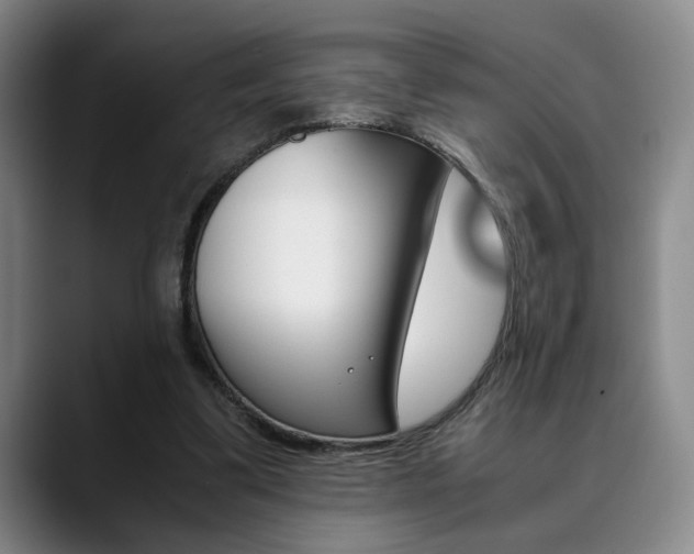 X0000090490299200707130935